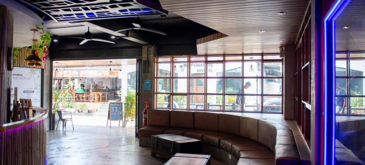 普吉岛疯猴子酒店(Mad Monkey Phuket)图片