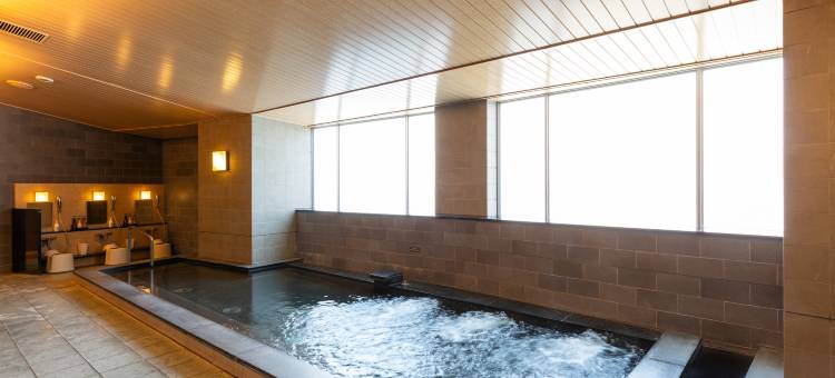 舞滨HULIC景观酒店(旧称东京湾舞滨酒店)(Maihama View Hotel by HULIC (formerly Tokyo Bay Maihama Hotel))图片