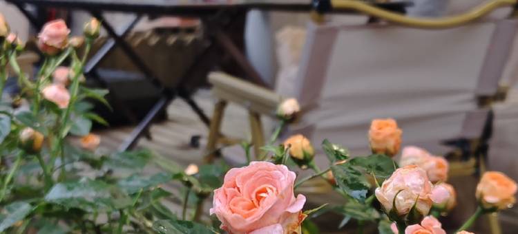 见山民宿(望仙谷景区店)图片