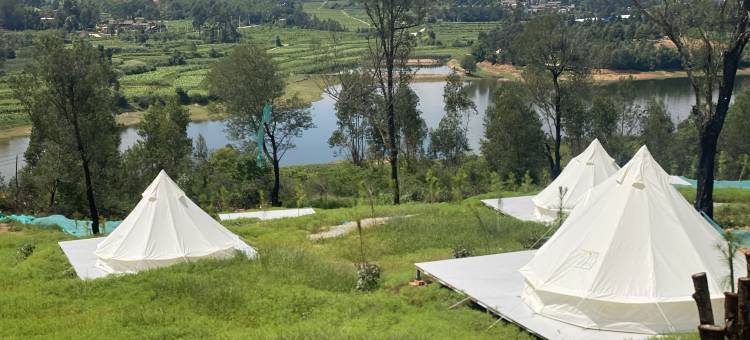 雨露蘑菇小屋图片