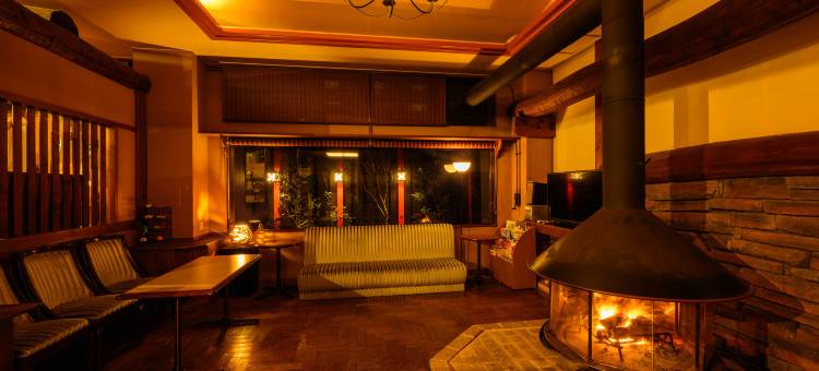 奈良艾思酒店(Hotel Asyl Nara)图片