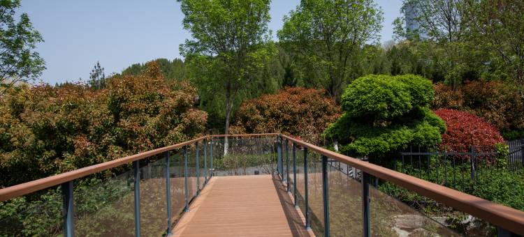 济南汉峪金谷奥体中心美仑国际酒店图片