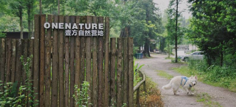 ONENATURE壹方自然温汤营地图片
