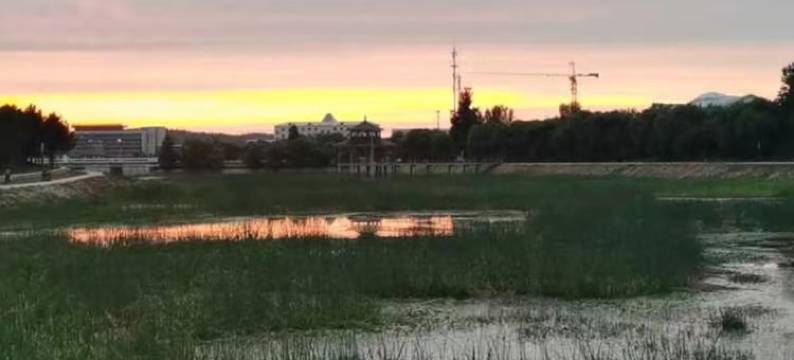 呼玛金客来宾馆图片