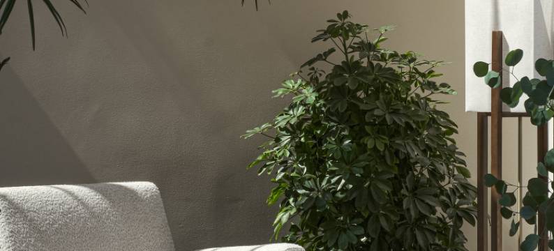 大理醒在山海·海景酒店(洱海S湾生态廊道下波淜店)图片