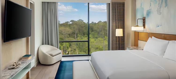 康莱德奥兰多(Conrad Orlando)图片