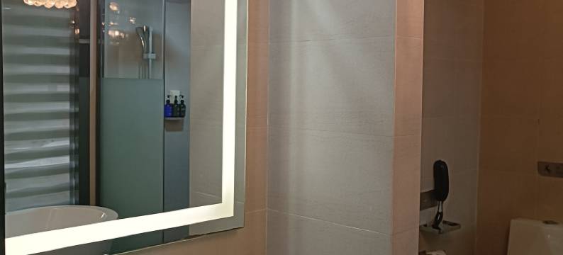 麓枫酒店(益阳火车站店)图片