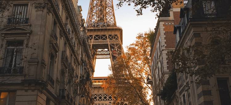 巴黎阿尔玛1号酒店(近塞纳河畔/阿尔马桥)(The One Alma Paris)图片