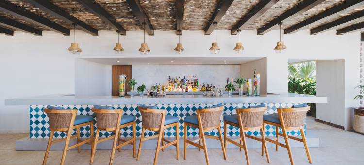 洛斯卡沃斯Hyatt乐家酒店 - 全包(Hyatt Ziva Los Cabos)图片