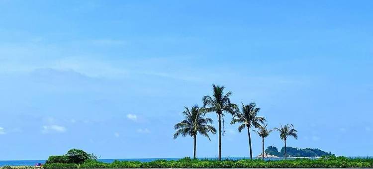 螺洲宋韵海景酒店(阳江海陵岛敏捷黄金海岸店)图片