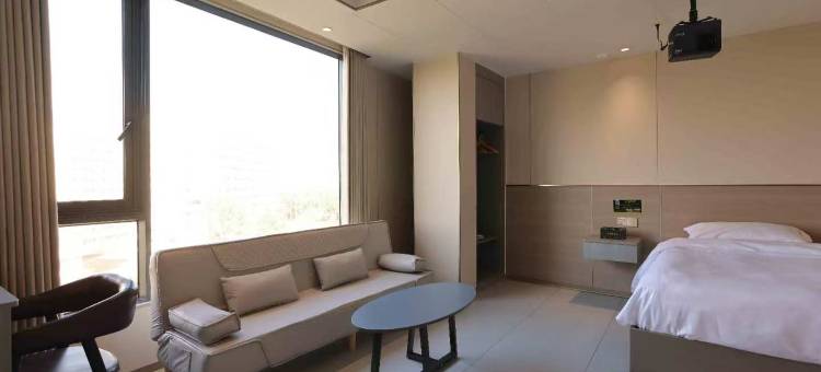 六棵树客栈图片