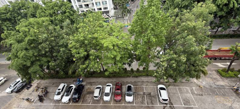 西双版纳椰林度假酒店图片