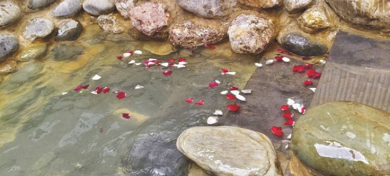 留白温泉小院(牛街店)图片