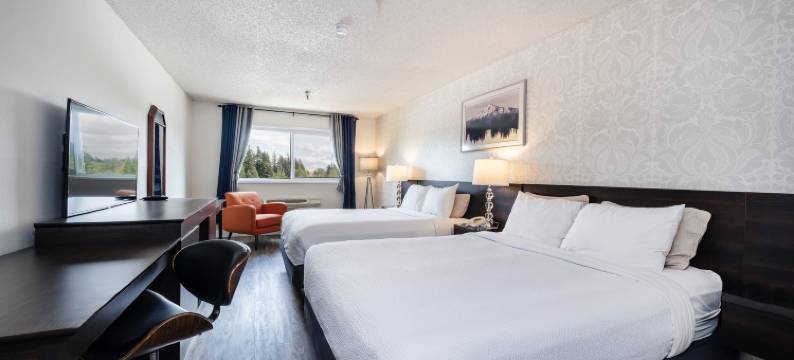 国际酒店(Hotel International)图片