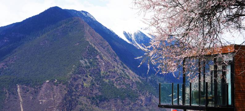 果然桃里酒店(林芝波密店)图片