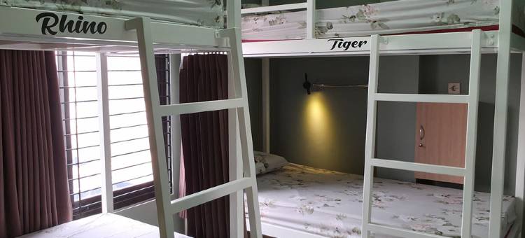 小玛琅亲年旅舍(Little Malang Hostel)图片