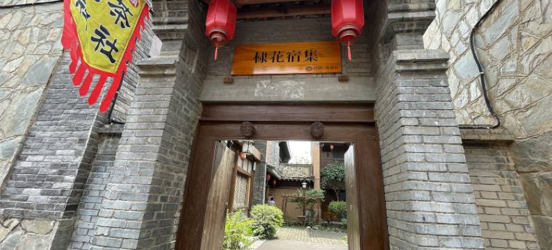 花筑·棣花古镇荷塘畔民宿图片