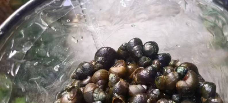 安吉归遇·怡晨谷亲子野奢美墅图片