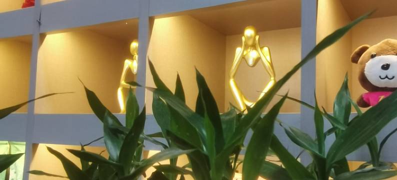 好来屋大酒店(保定高碑店白沟国际商贸城店)图片