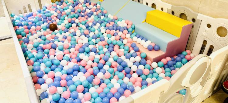 维也纳酒店(林芝波密店)图片