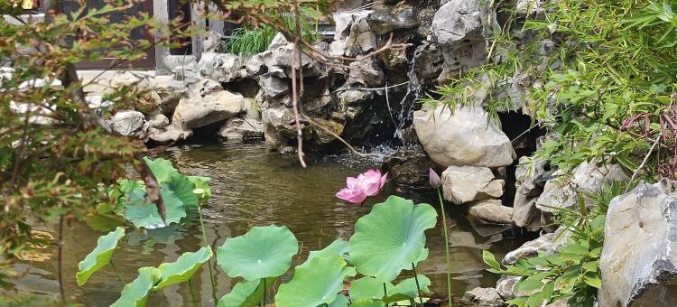 庭院香舍(河下古镇店)图片