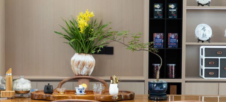 春生居·初见Villa|屋顶花园·雪山观景度假美宿(古城南门店)图片