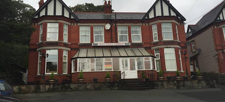 OYO Baytree旅馆(Baytree Lodge)图片