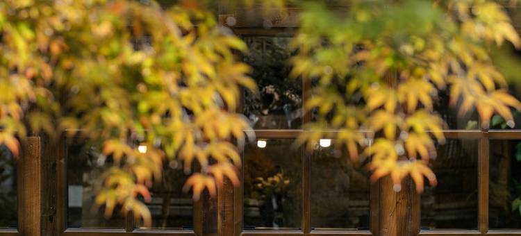 丽江古城大美华宿·聚舍｜森野Glowscape设计师民宿(大水车店)图片