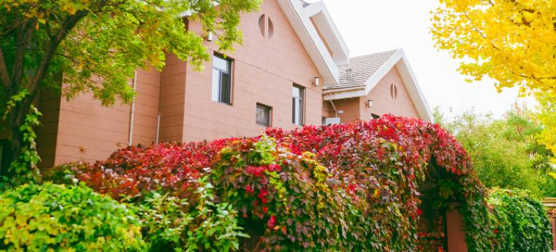 呼和浩特东河宾馆(内蒙古国际会展中心万达广场店)图片