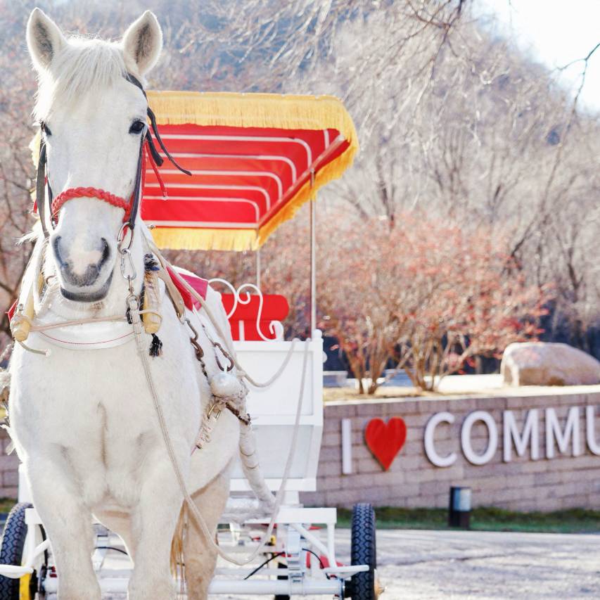 长城脚下的公社图片