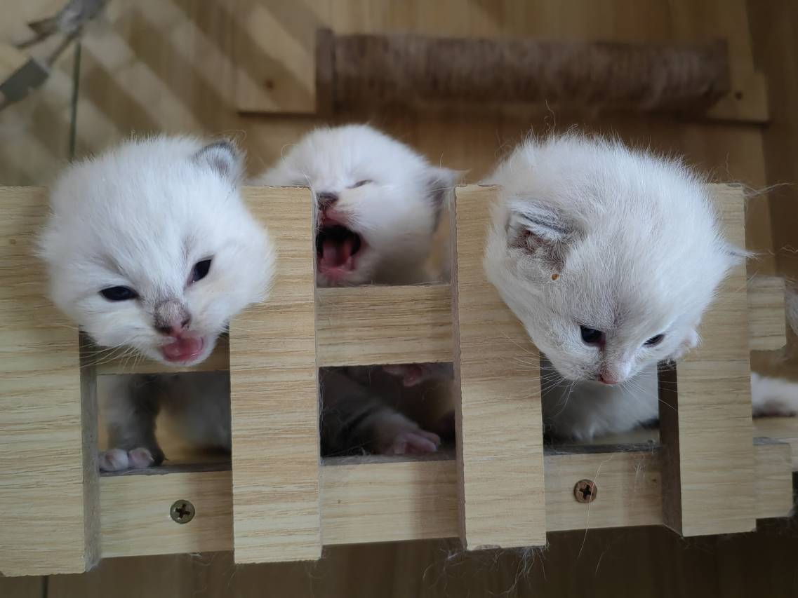 文璟酒店(晋中灵石王家大院售票处停车场店)图片