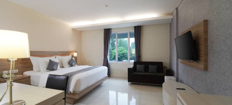 万隆帕特雷酒店(Patra Bandung)图片