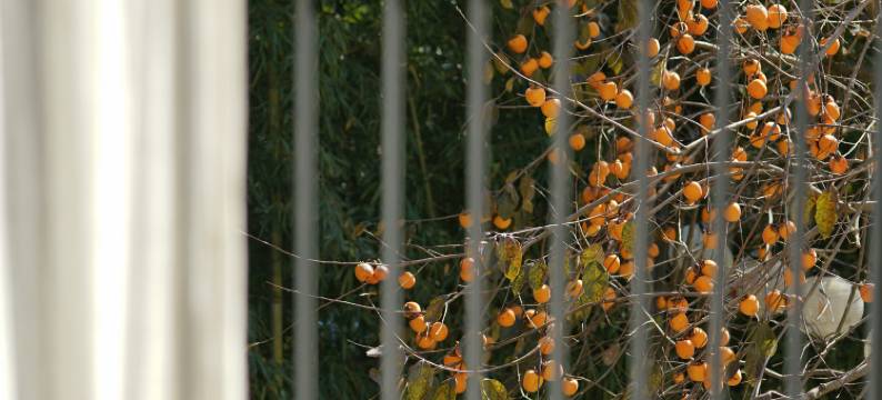 桐庐原乡芦茨民宿图片