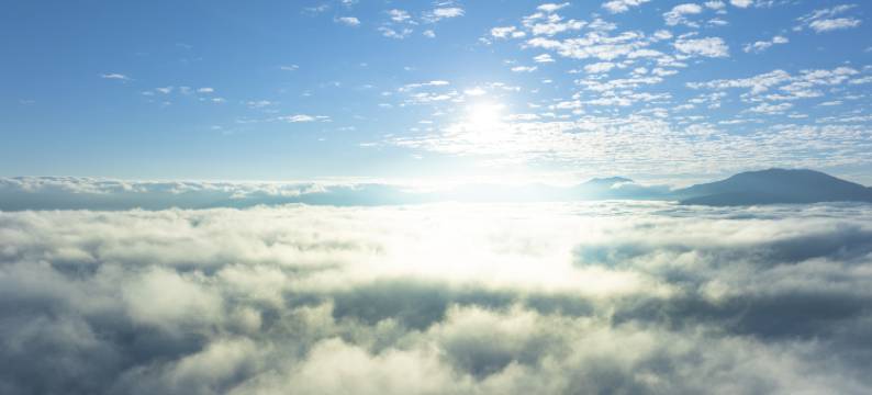 景泉丨茶林雅境・TeaInn客栈(景迈山古茶林观景台站店)图片