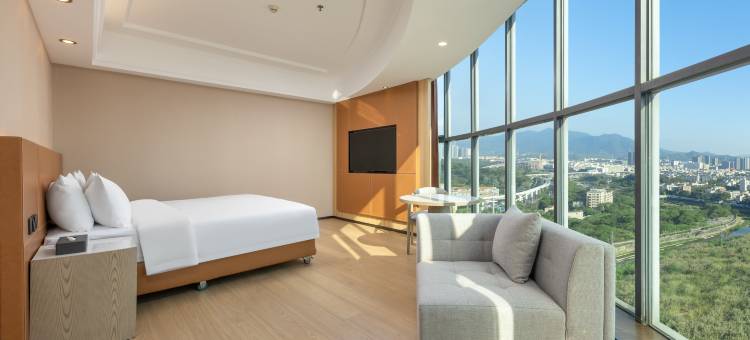 维也纳酒店(深圳坪山高铁站坪山围地铁站店)图片