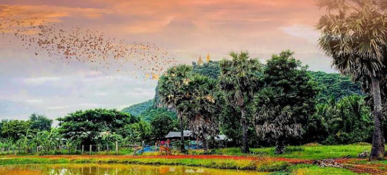 Family Batcave Homestay图片