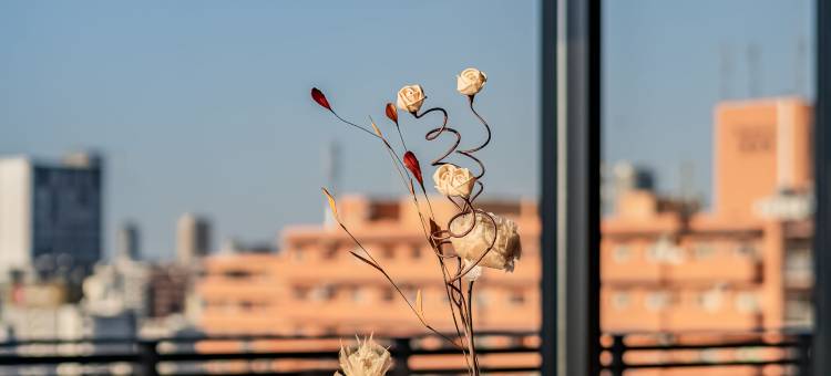 住一新今宫3号店(Apartment Hotel 11 Shinimamiya 3)图片