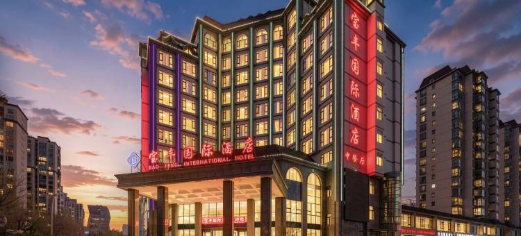 西宁宝丰国际酒店(海湖万达广场店)图片