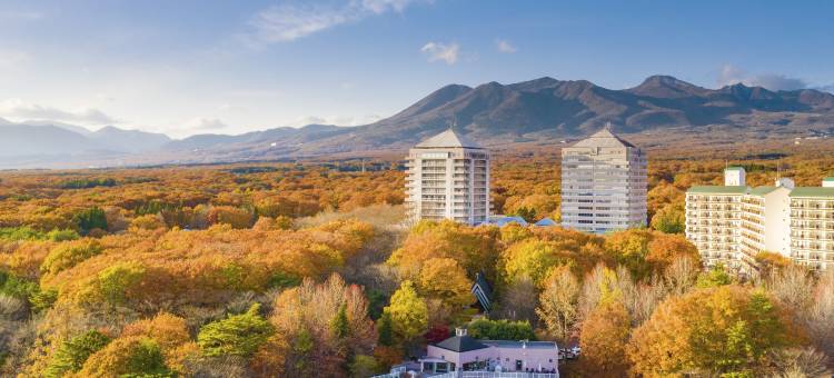 Epinard那须温泉酒店(Hotel Epinard Nasu)图片