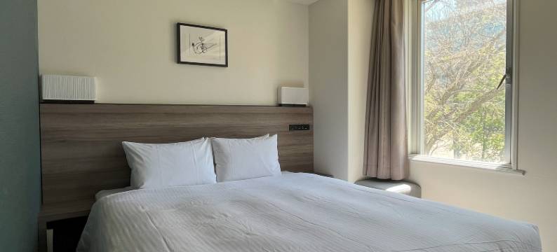 奥迪西斯札幌大通公园酒店(Odysis Sapporo Odori Koen Hotel)图片