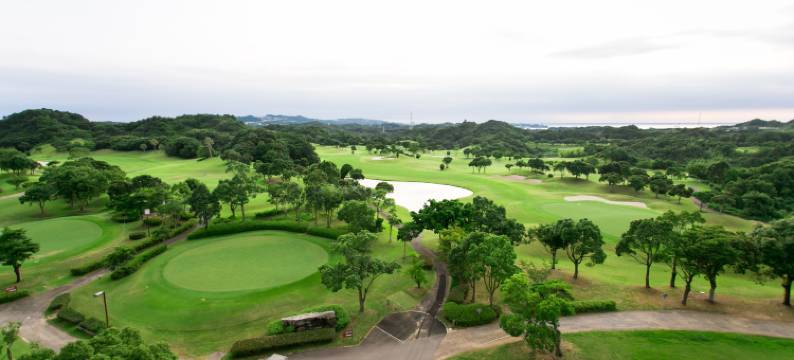 南纪白浜度假酒店(Nanki Shirahama Resort Hotel)图片