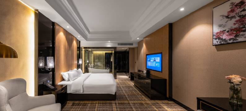 天府九鼎国际大酒店(简阳市中心城市候机楼店)图片