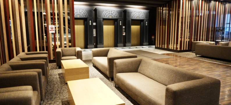 泉佐野中心酒店(Izumisano Center Hotel Kansai International Airport)图片