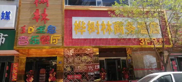 保德桦树林商务酒店图片