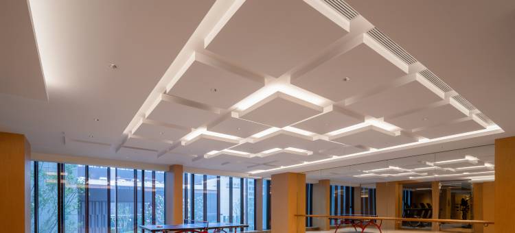 东阳天澜雷迪森广场酒店(迎宾大道店)图片