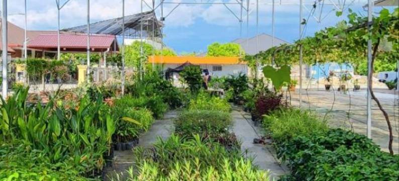 葡萄藤花园酒店(Grapevine Garden)图片