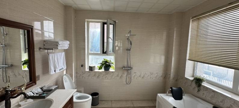 阿勒泰敦临优墅图片