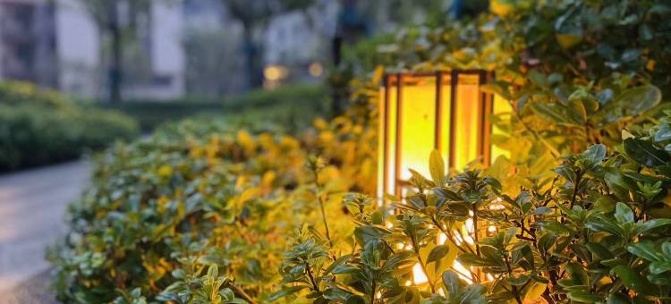 一贰民宿(只有河南戏剧幻城海昌海洋公园店)图片