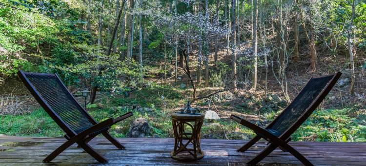 坂圣玉樟园(Sakahijiri Gyokushoen)图片