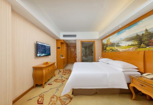 Vienna Hotel (Luoding Luocheng Branch) Hotel Overview